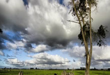 华体会-关于今晨突围战来临，法兰克福围绕英超调整名单，目标明确，轮换策略成焦点的信息